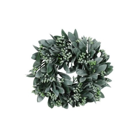 CORONA D23 EUCALYPTUS GREEN